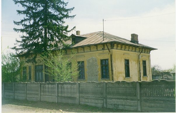Photograph